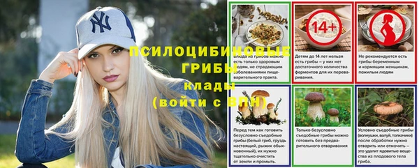ALPHA-PVP Алексеевка