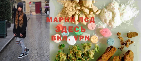стаф Алексин