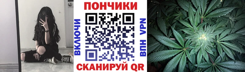 Конопля SATIVA & INDICA что такое Куйбышев
